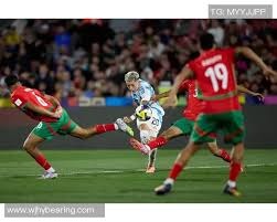 厄德高：梅里诺拥有进球嗅觉，他总是能出现在正确的位置上